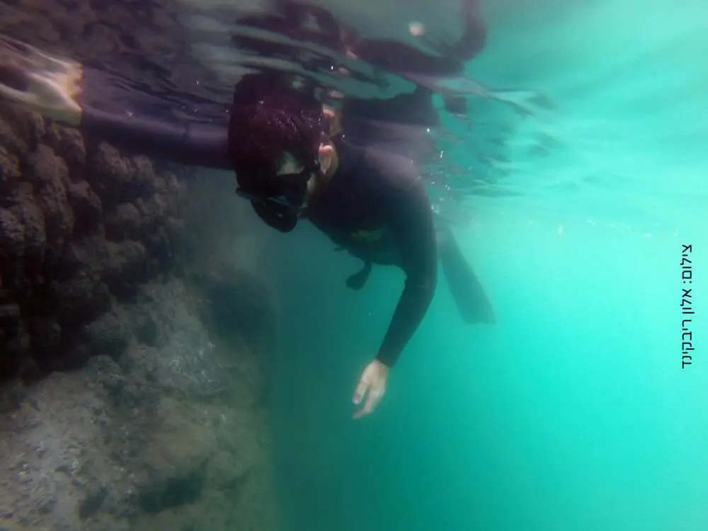 שאלות על צלילה חופשית