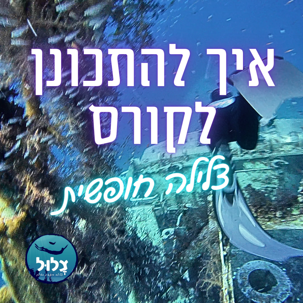 איך להתכונן לקורס צלילה חופשית