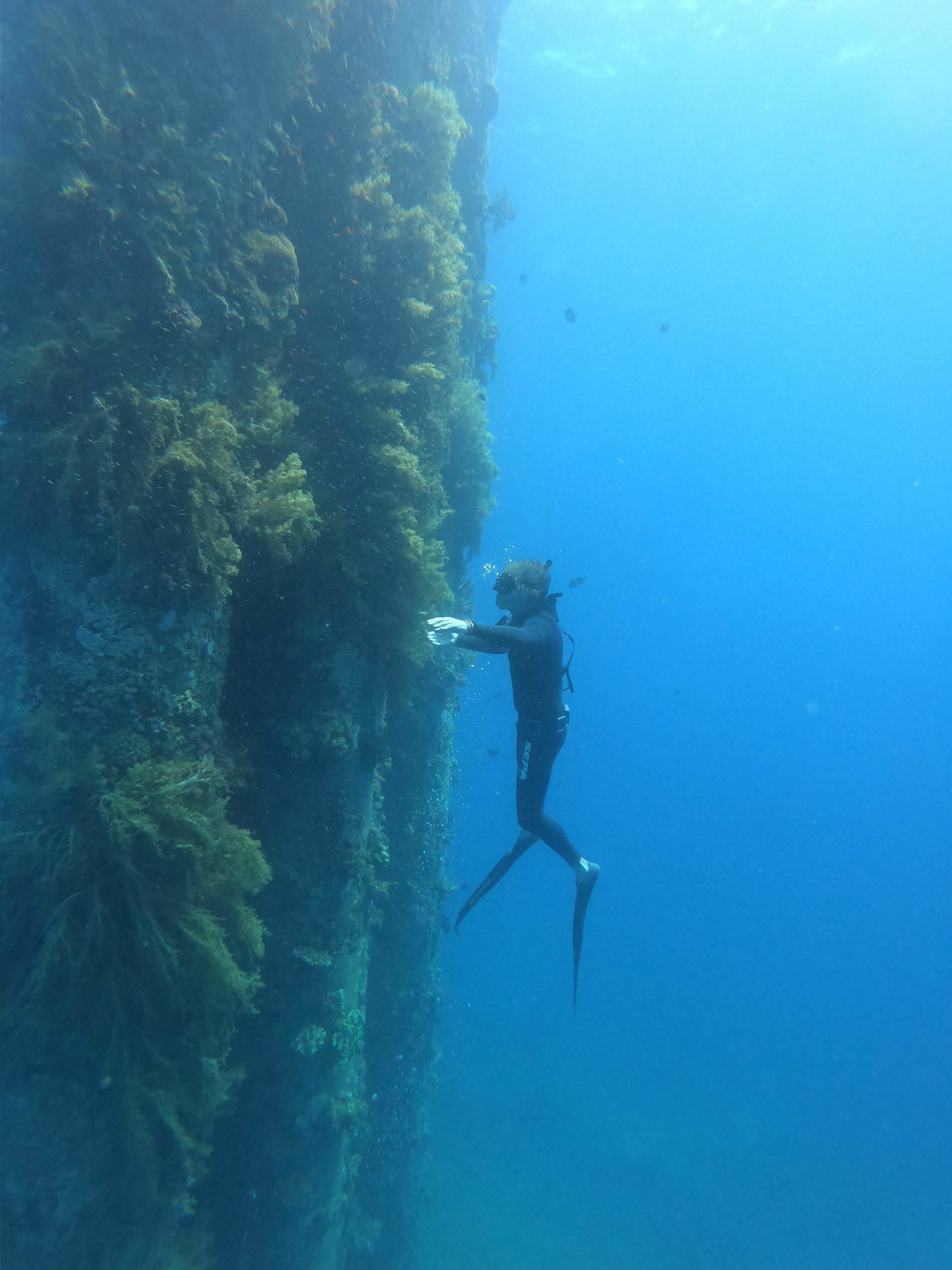 freediving in Katsa Eilat