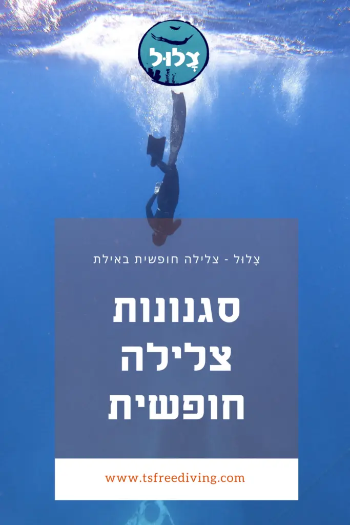 סגנונות צלילה חופשית