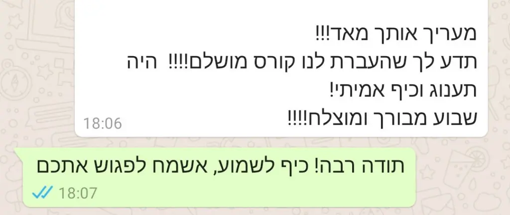המלצה 6
