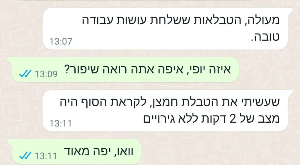 המלצה 3