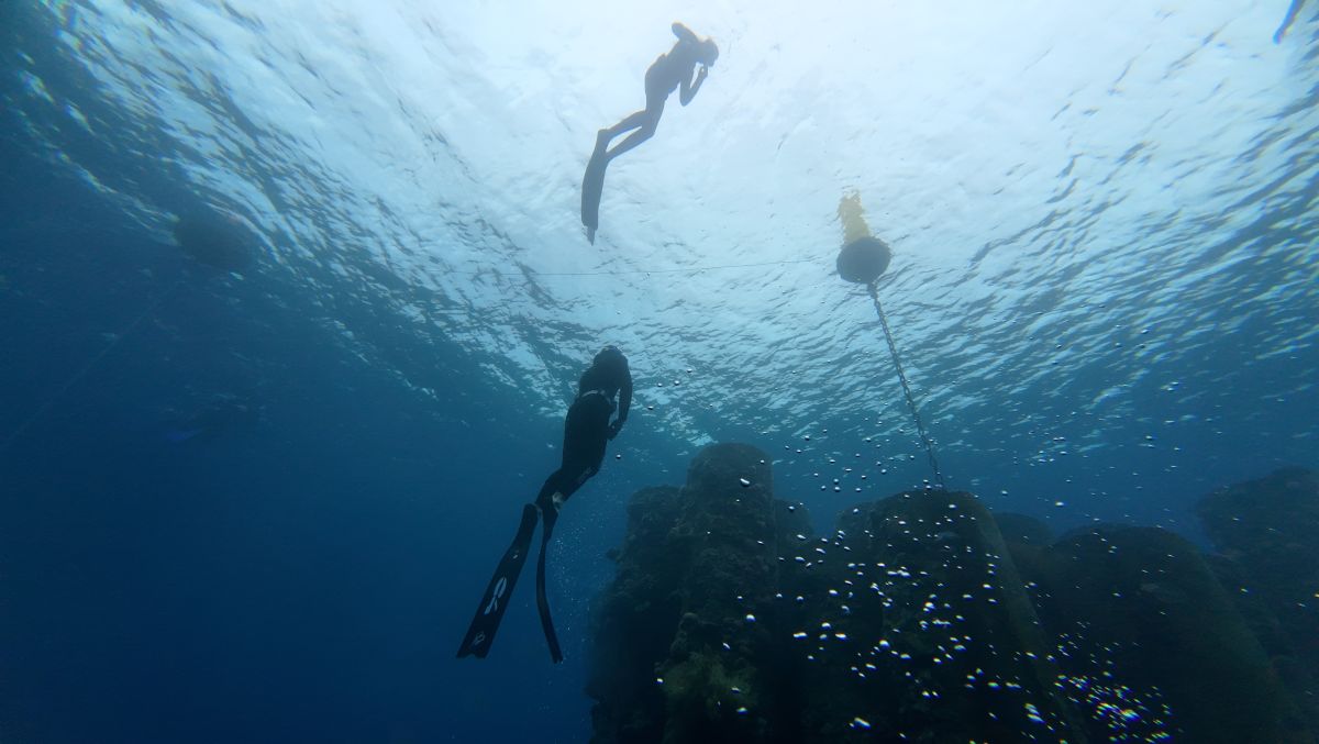 צום וצלילה חופשית צום ועצירת נשימה