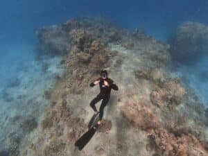 צוללי חופשי בצלילה