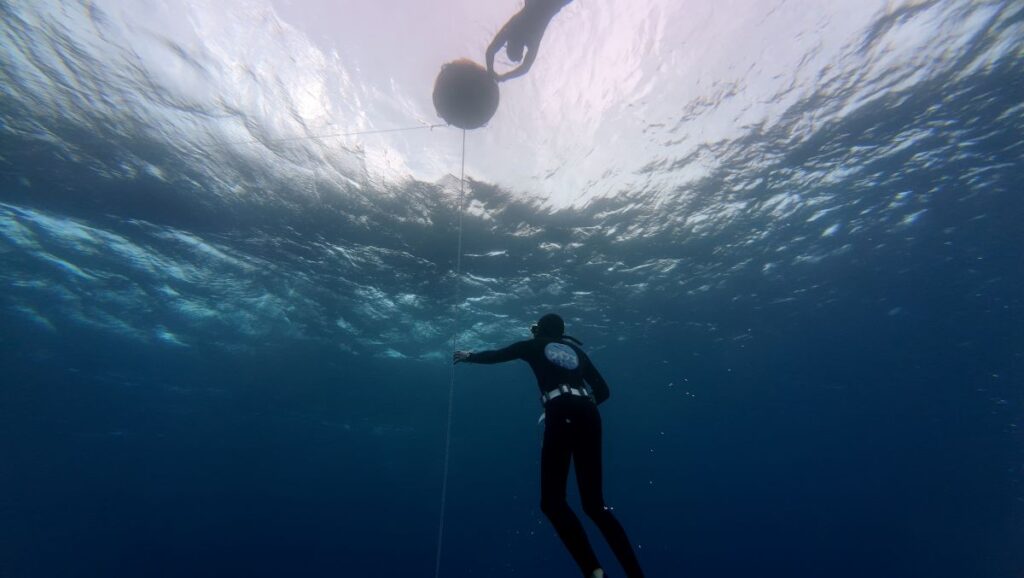 אלכוהול וצלילה חופשית