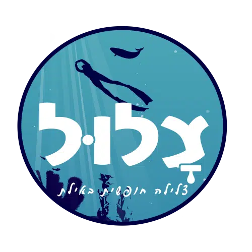 לוגו צלול