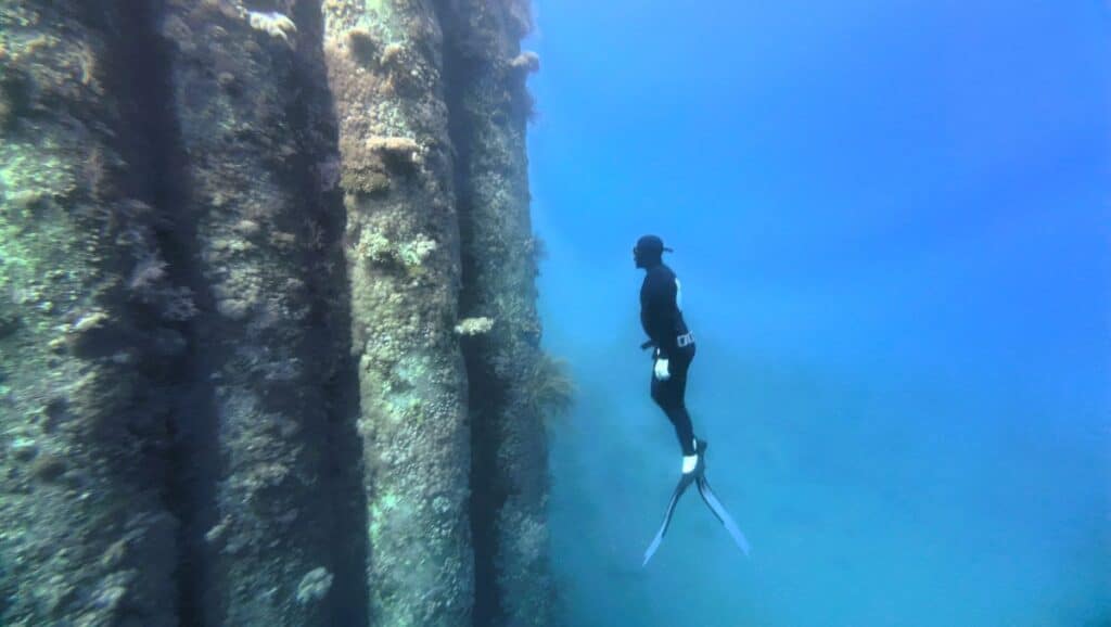 ברדיקרדיה בצלילה חופשית