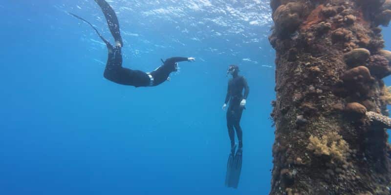 Personal freediving coaching for all levels – skill improvement with instructor Asaf Bandel, Eilat