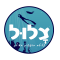 צָלוּל – צלילה חופשית באילת