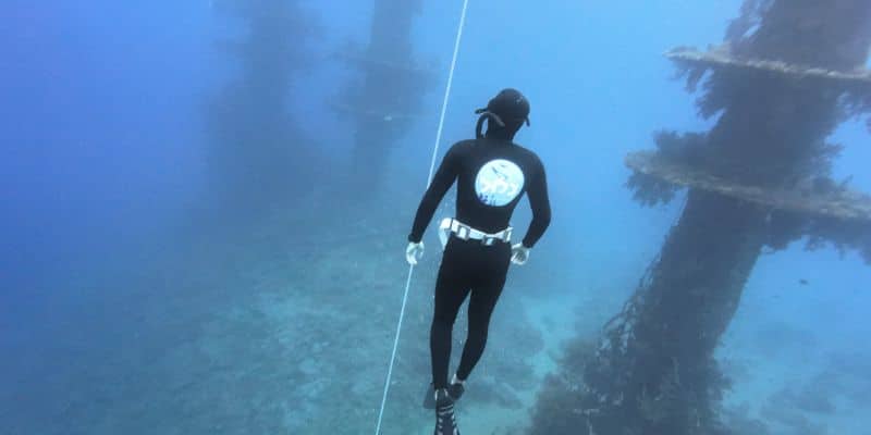 Shortened Level 1 course – freediving certification in two days, Eilat