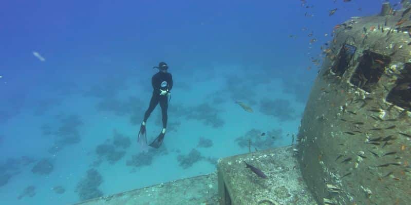 Level 2 advanced freediving course – up to 30 meters, Eilat