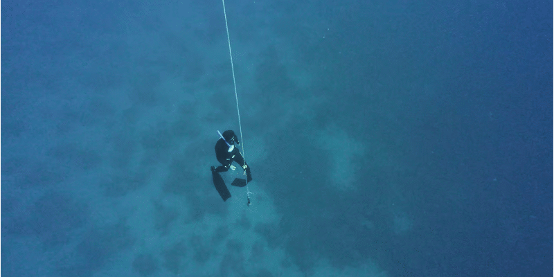 Level 3 advanced freediving course – depths of 30–40 meters, Eilat
